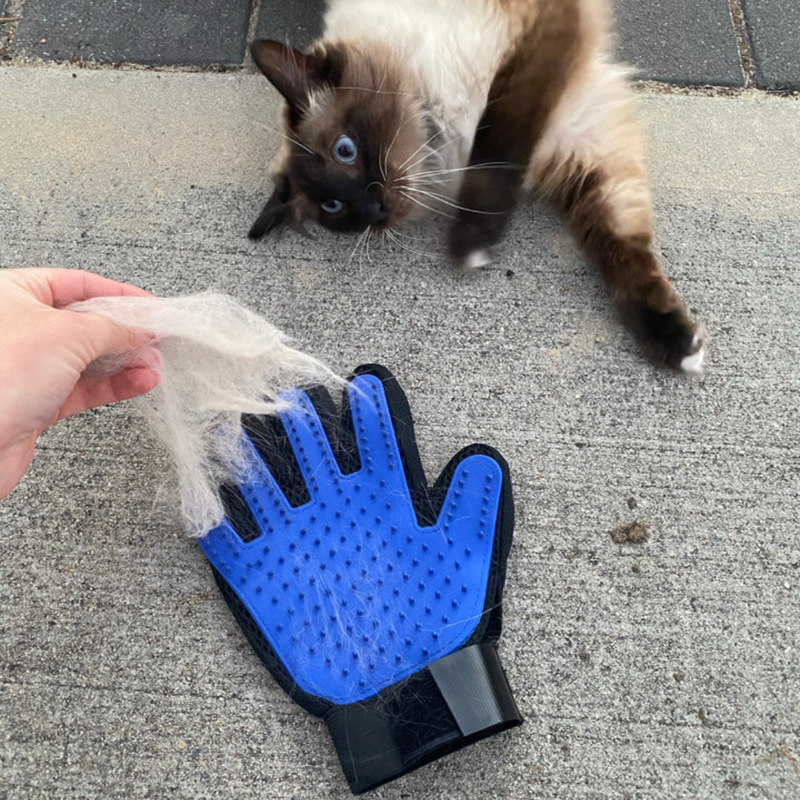 Pet Grooming Glove