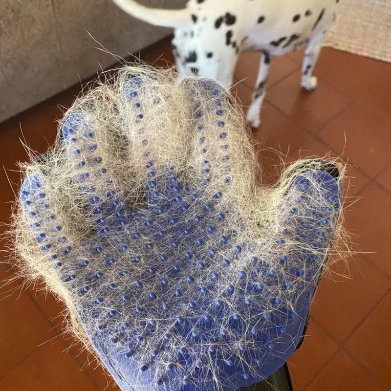 Pet Grooming Glove