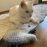 Pet Grooming Glove